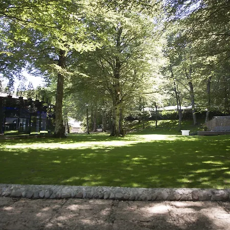 Giubileo 4* Pignola