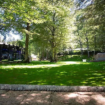 Giubileo 4*