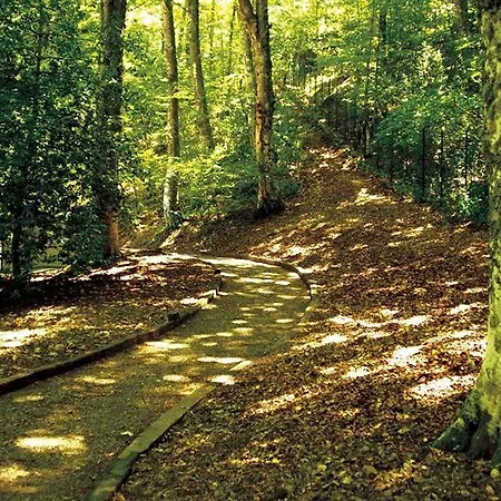 Giubileo 4* Pignola